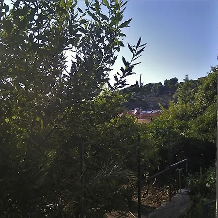 Brusje Podgora (Split-Dalmatia)