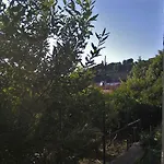 Brusje Podgora (Split-Dalmatia)